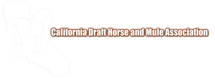 California Draft Horse and Mule Association